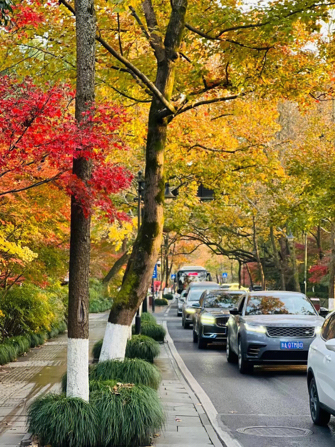 今天的杭州龙井路