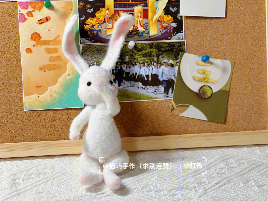 苏苏莙海星兔子图片