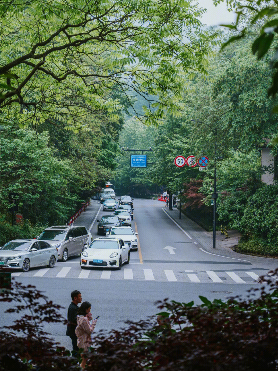 杭州西湖旅行记忆春季虎跑路杭州动物园