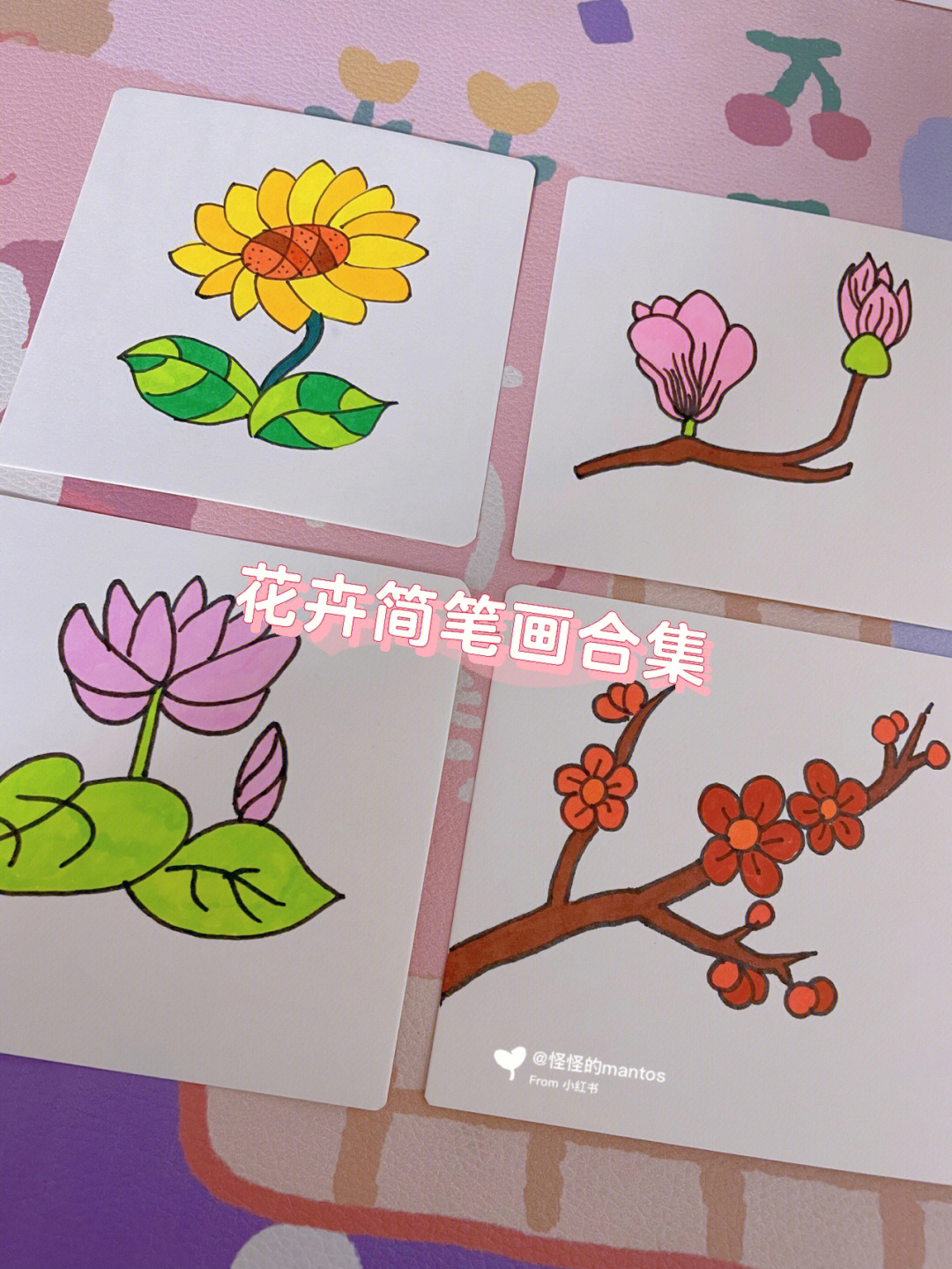 100种花草简笔画步骤图图片