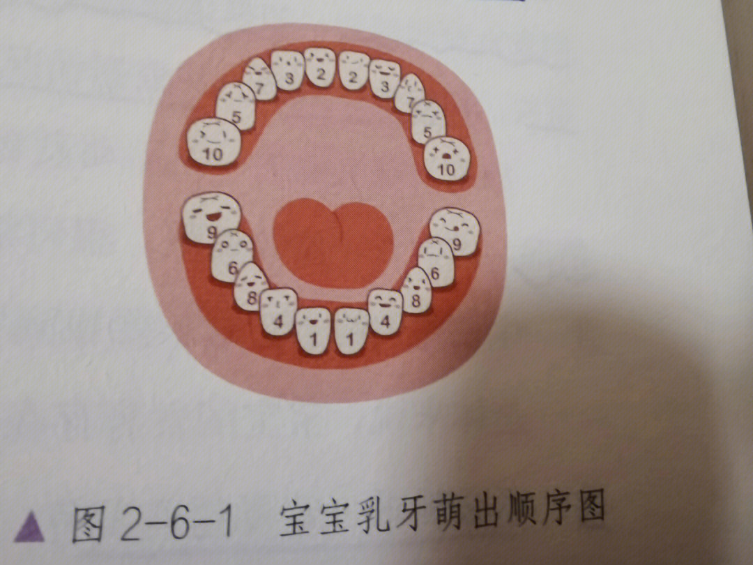 婴儿出牙前牙床变化图图片