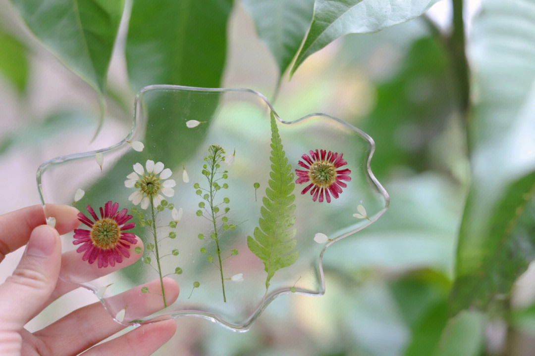 植物标本滴胶