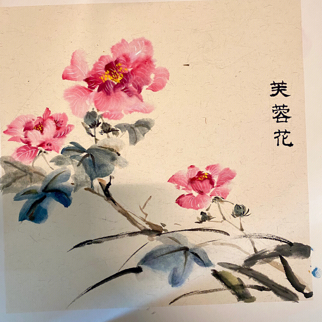 每日一画写意花鸟练习