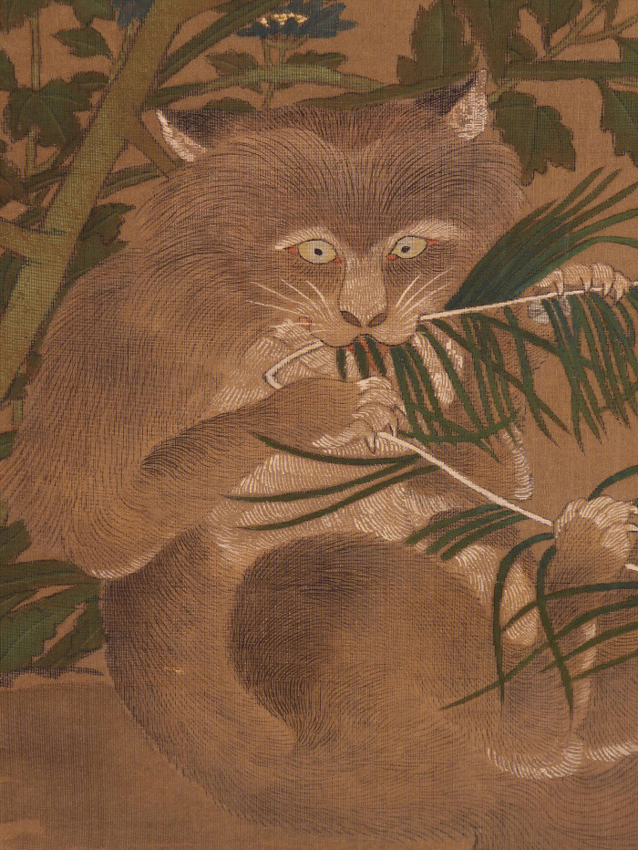 日本狸猫传说图片