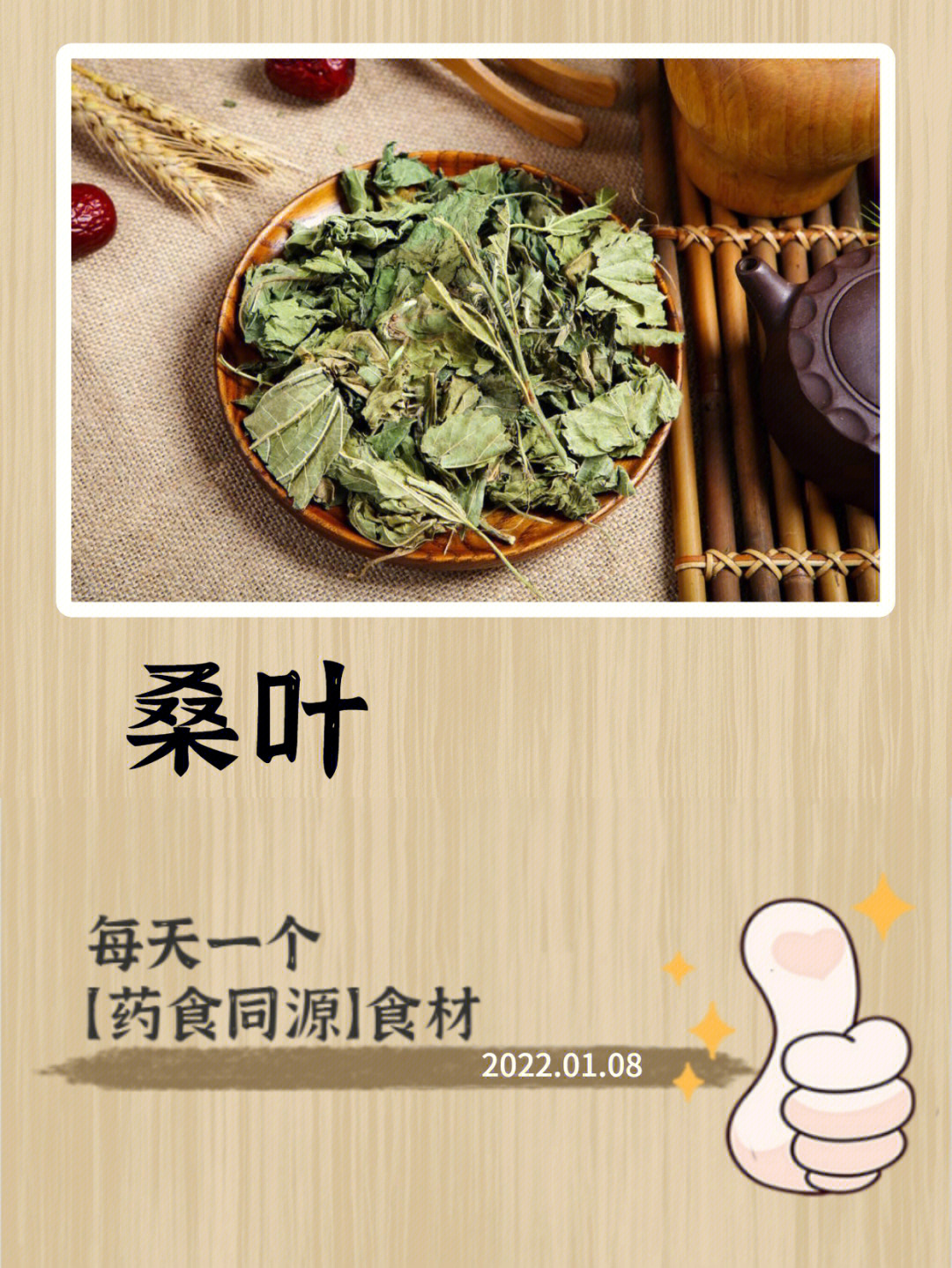 桑叶的作用食用方法图片