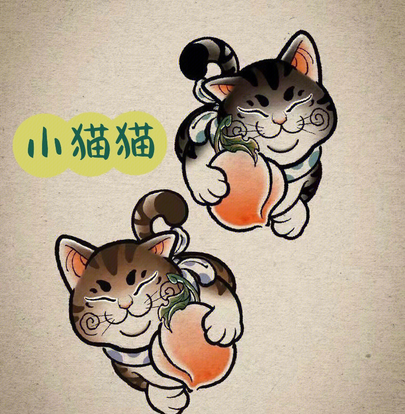 猫咪手稿