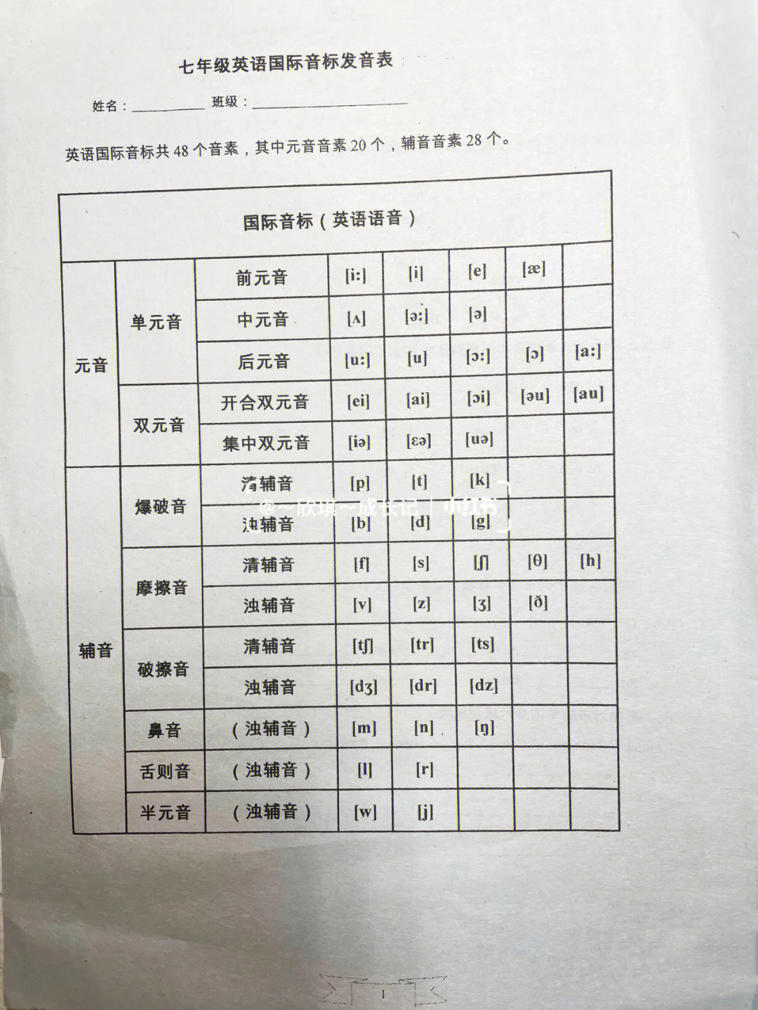 英语国际音标共48个音素;其中元音音素20个;辅音音素28个;学好英语从