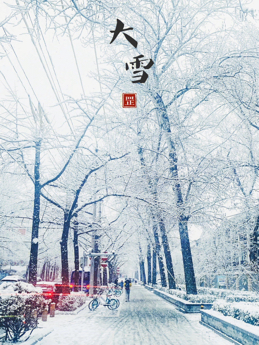 春天第一场雪图片图片