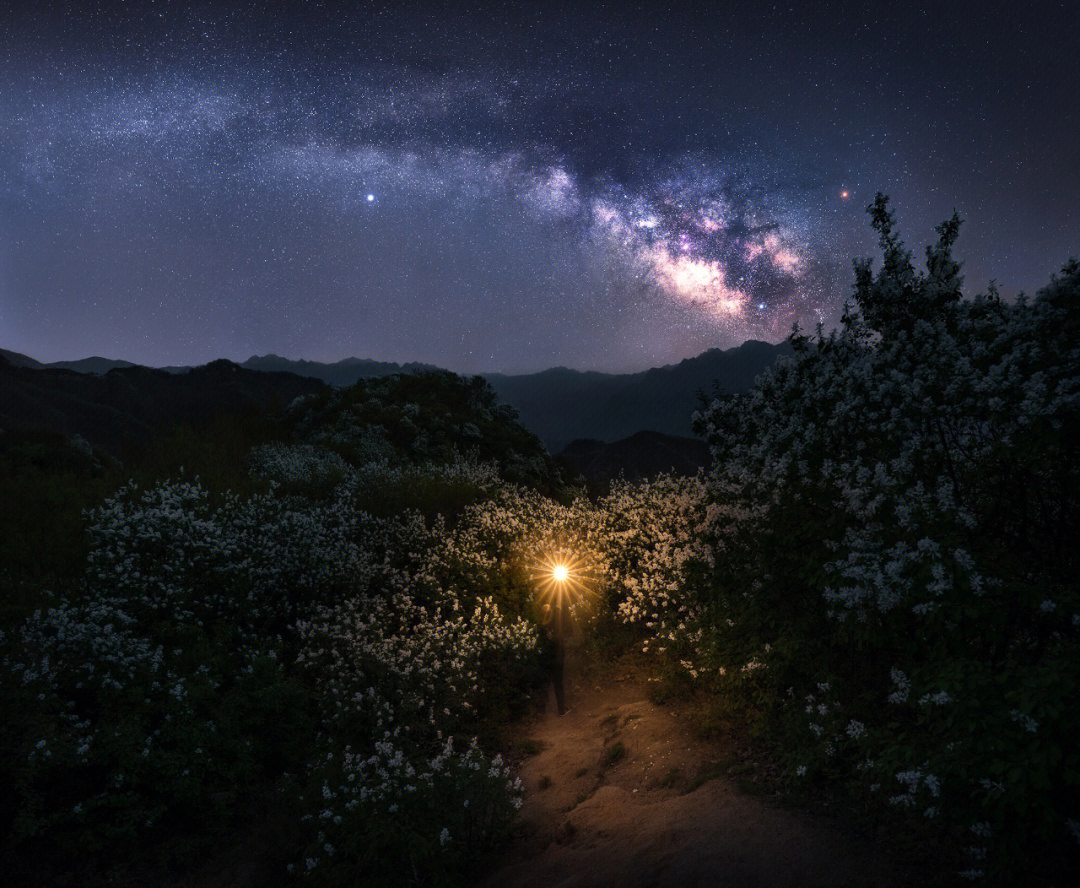 大理夏夜星空花海图片图片