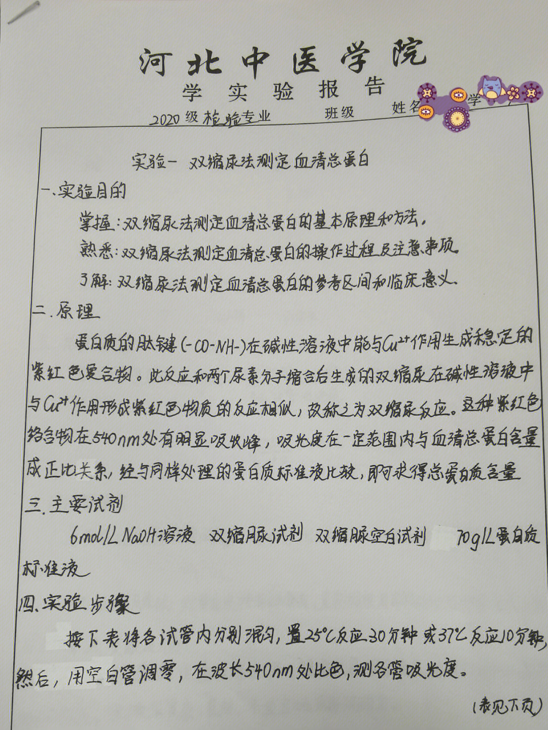 双缩脲反应方程式图片