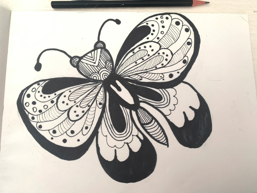 线描画蝴蝶附过程图