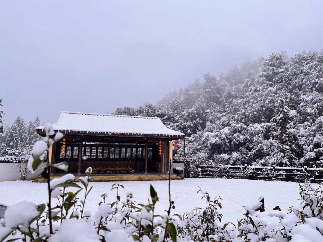 武夷山下雪了图片