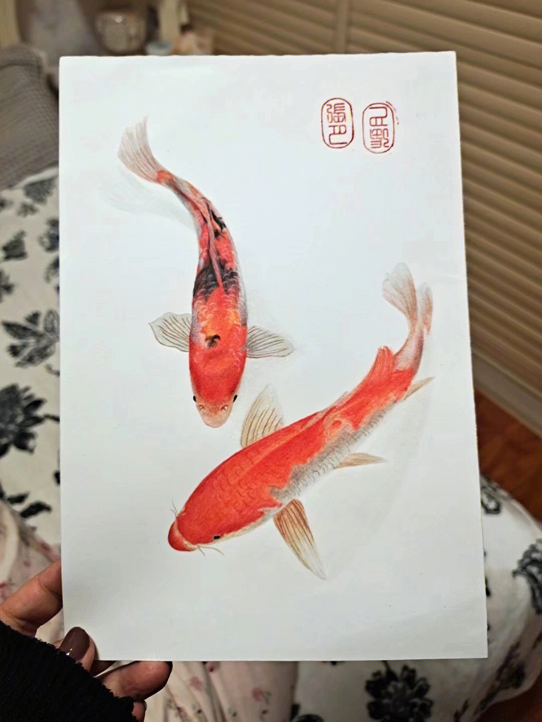 鲤鱼彩铅画图片