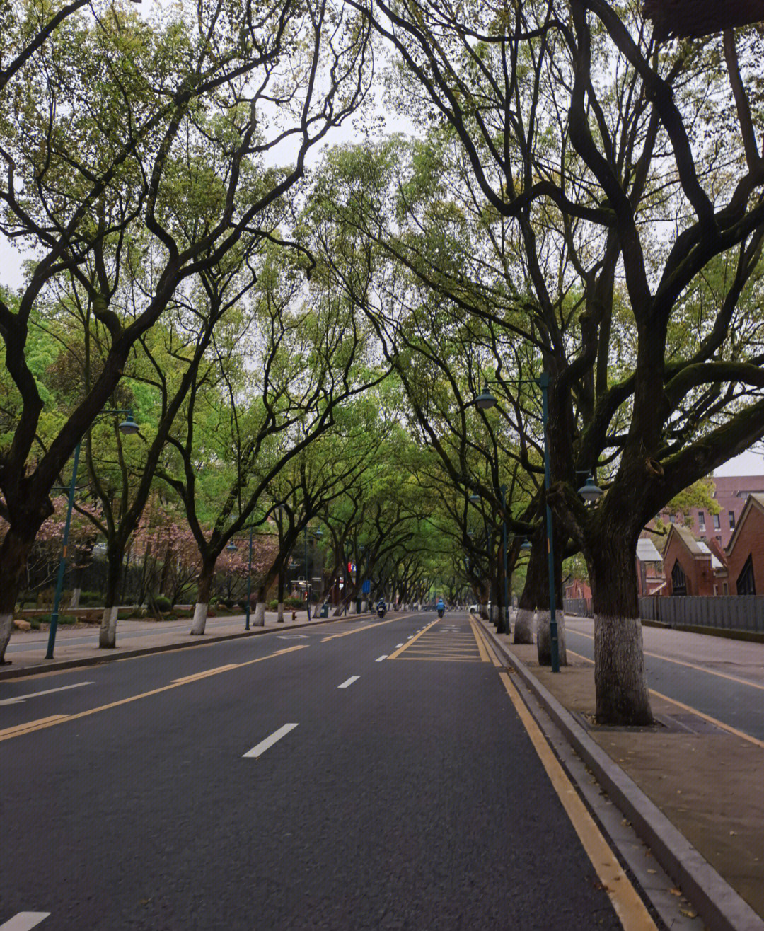 麓山南路图片图片