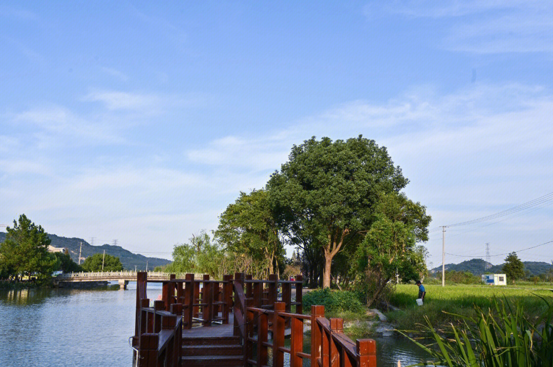 利时镇海九龙湖开发图片