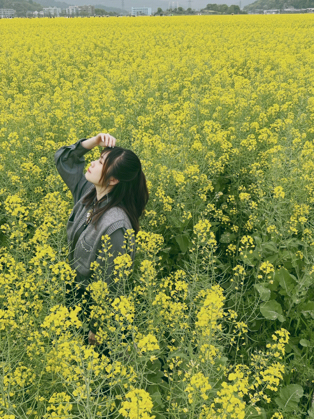 温州赏油菜花的好地方瑞安桐浦