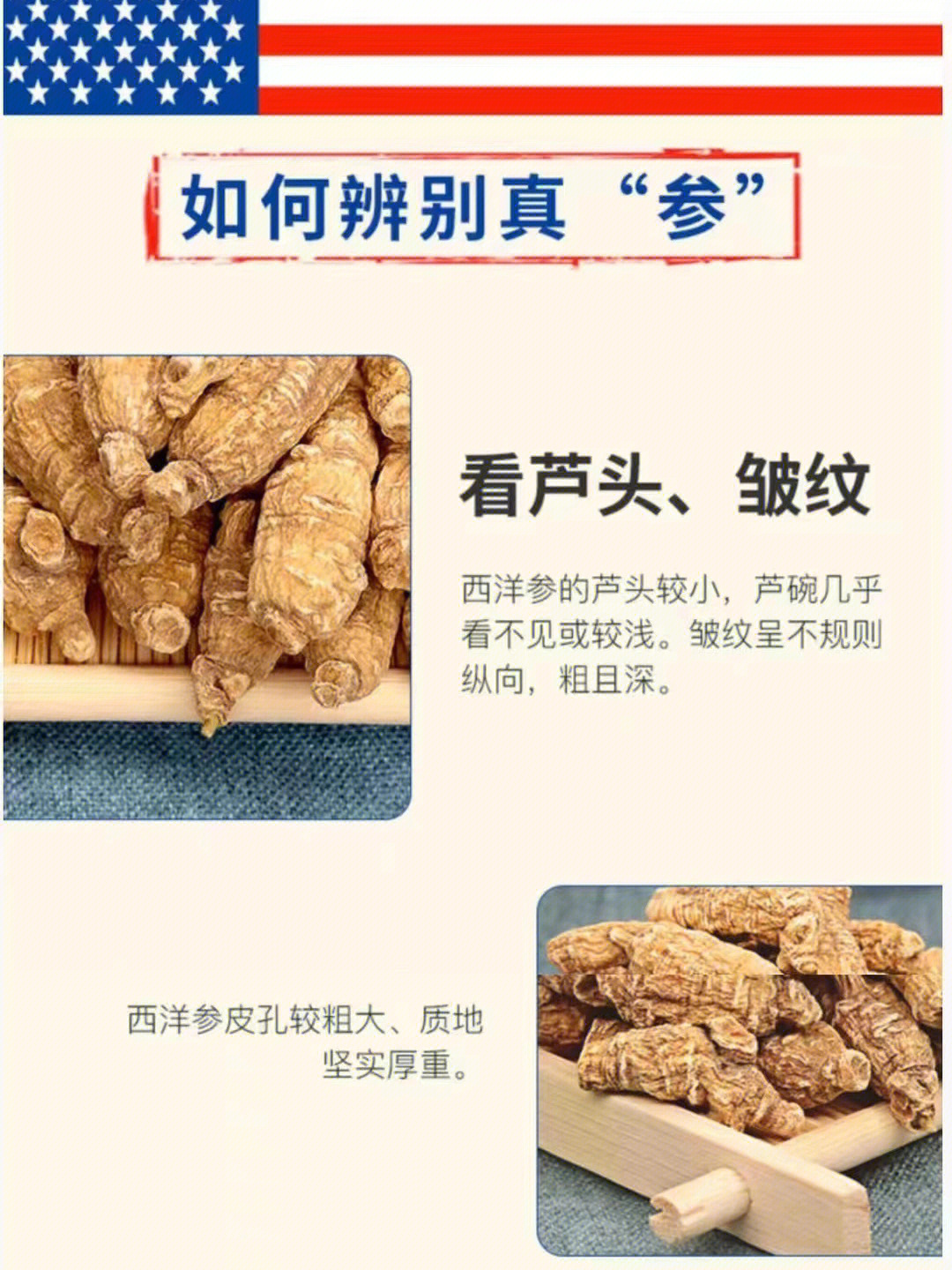 辨别西洋参好坏的图片图片