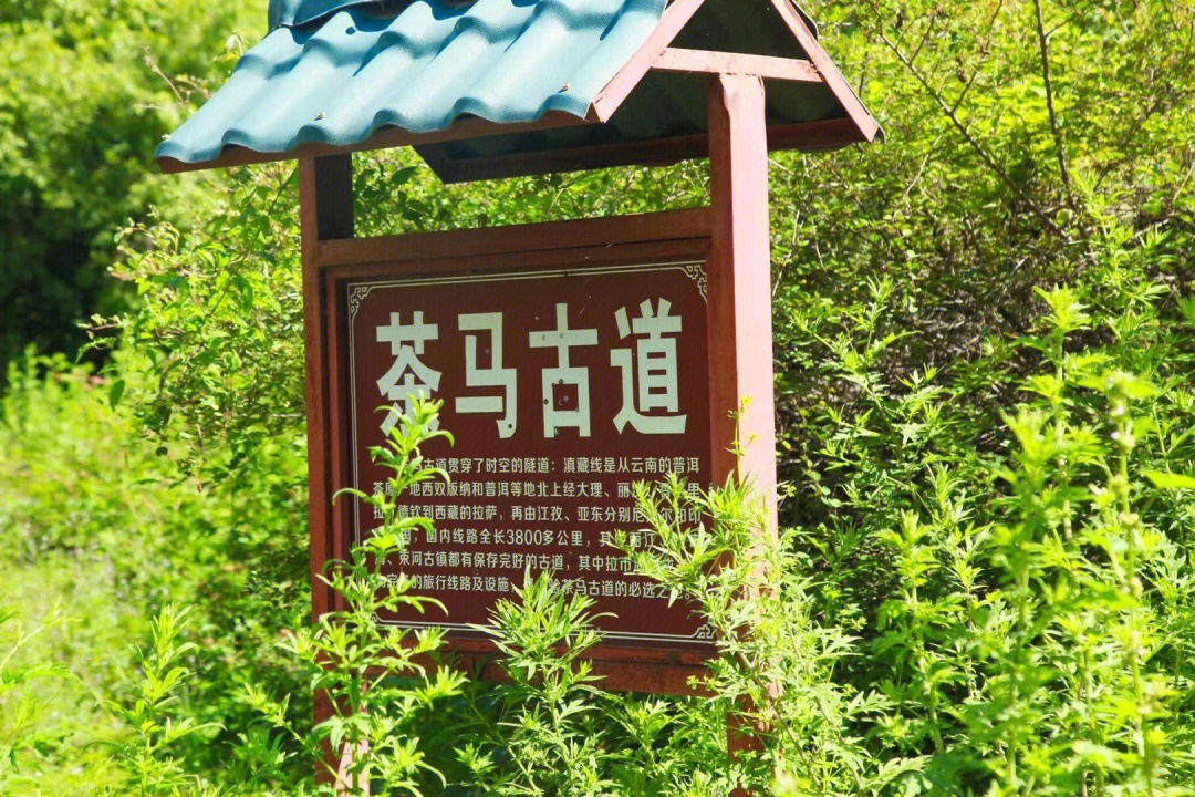 丽江茶马古道历史图片