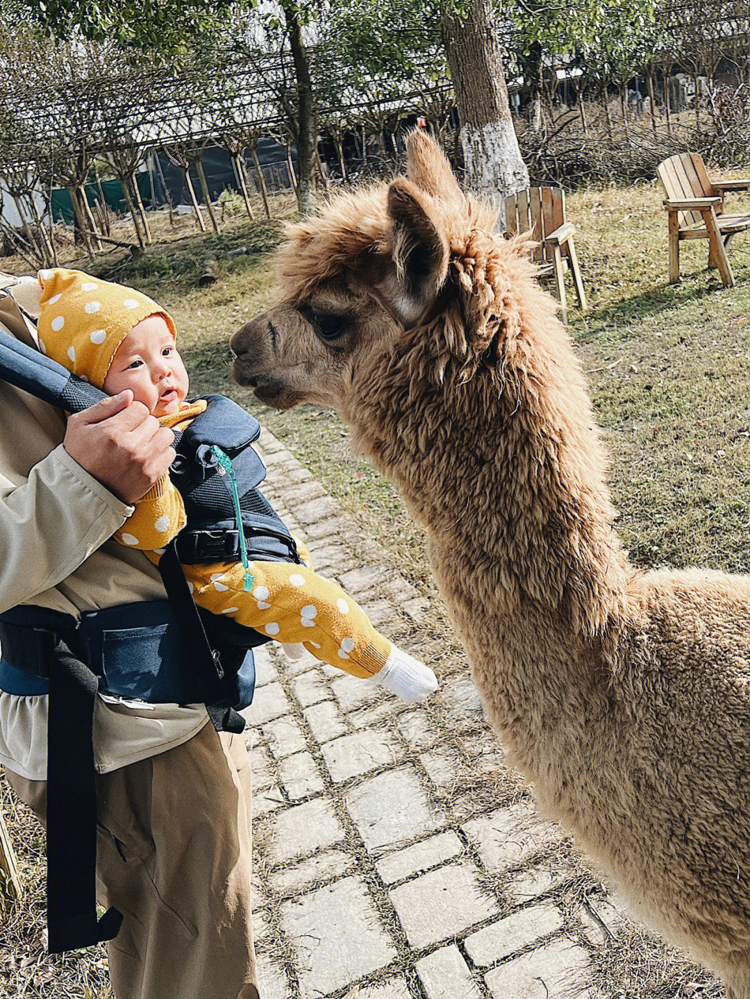 野生人类幼崽图片