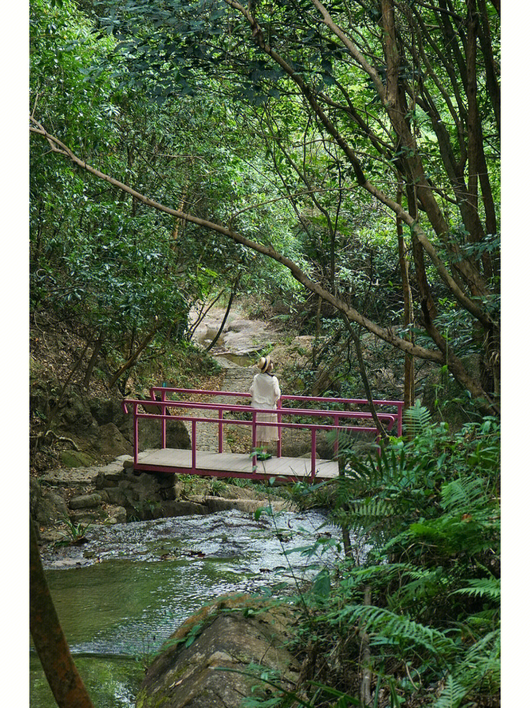 狮前村旅游景点图片