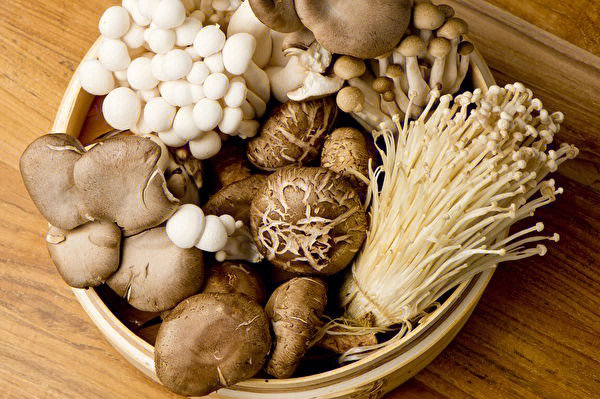 什么蘑菇是抗癌专家