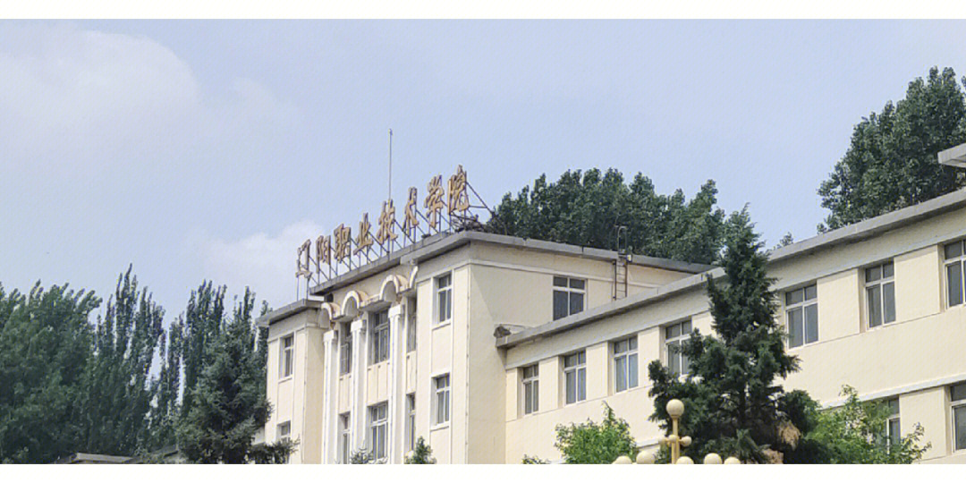 辽阳职业技术学院logo图片