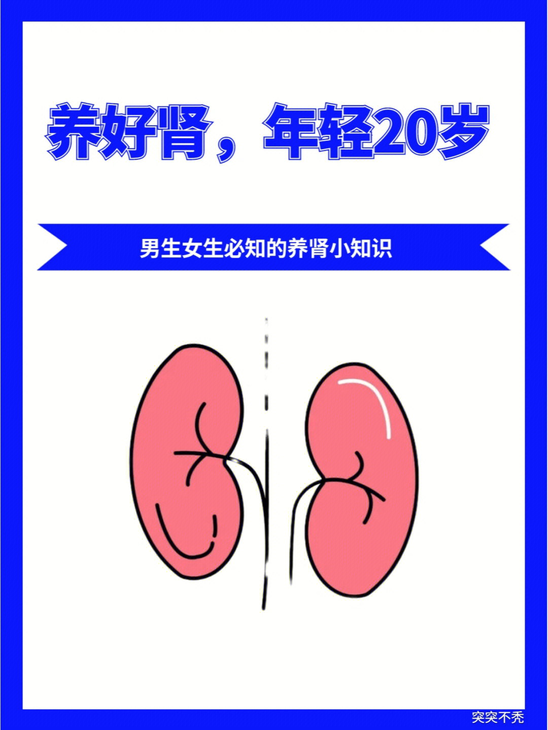 97肾脏是我们人体的重要器 官06保肾养肾也是现在很多人关注的