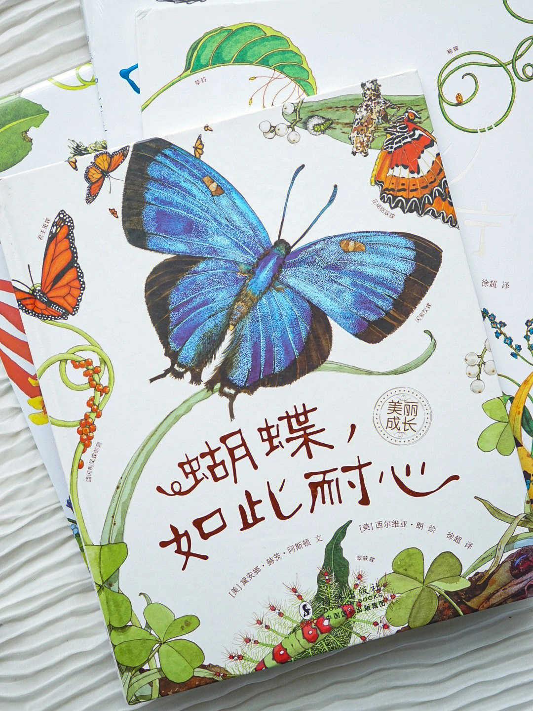 关于蝴蝶的绘本①