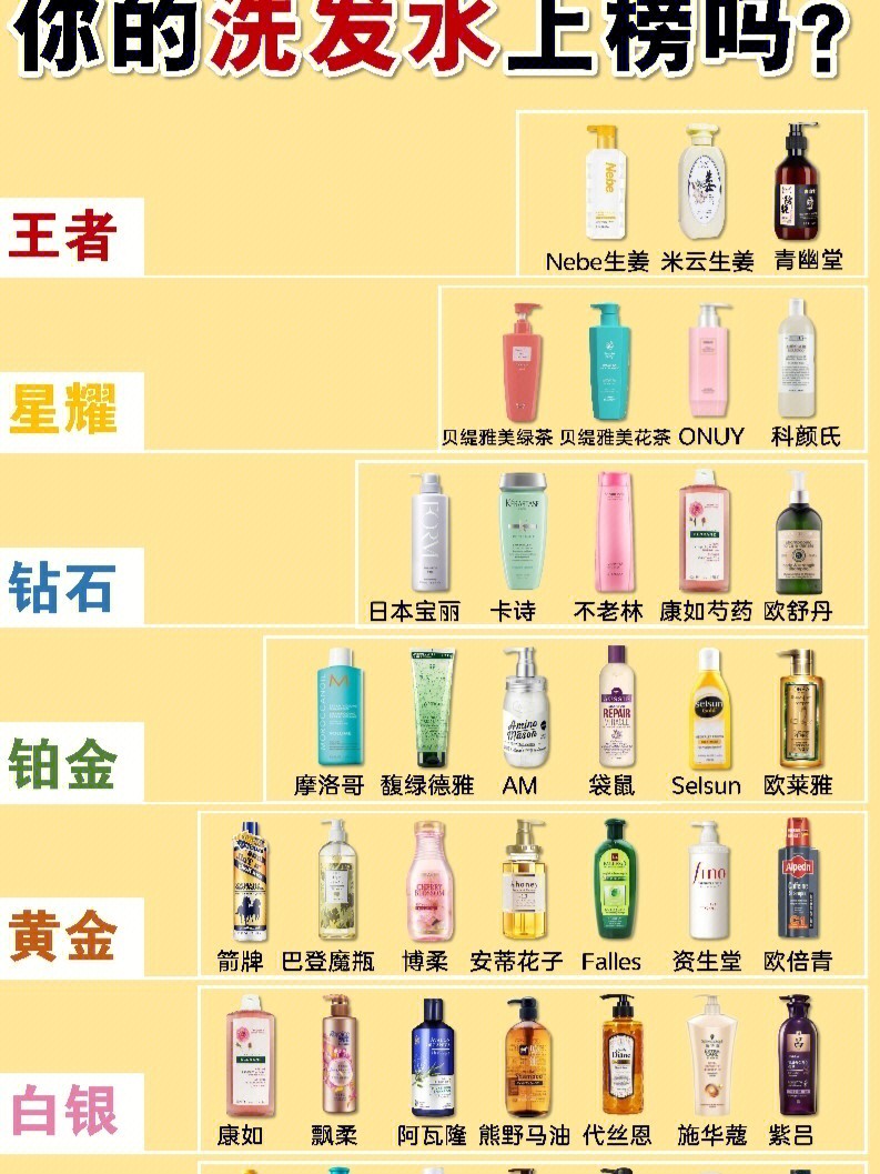 洗发水品牌天梯图图片