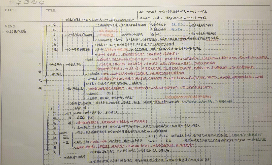 运动解剖学笔记重点图片