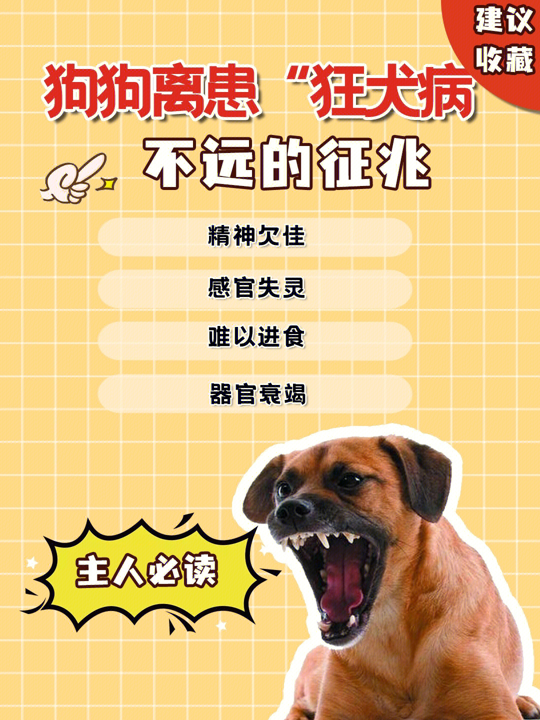 狂犬病发病症状前兆图片