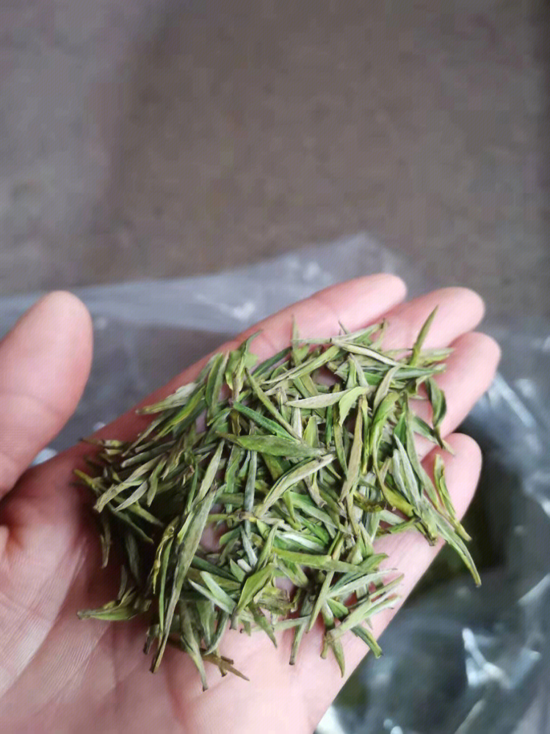 安吉白茶#高山茶#茶叶 第一批明前茶正宗的安吉高山白茶 需要的电话