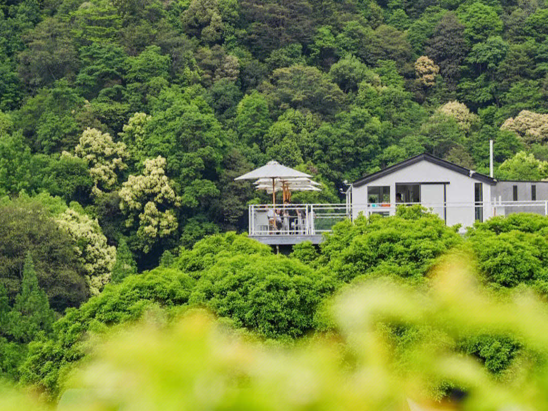 来山里来一场云径天竹之旅