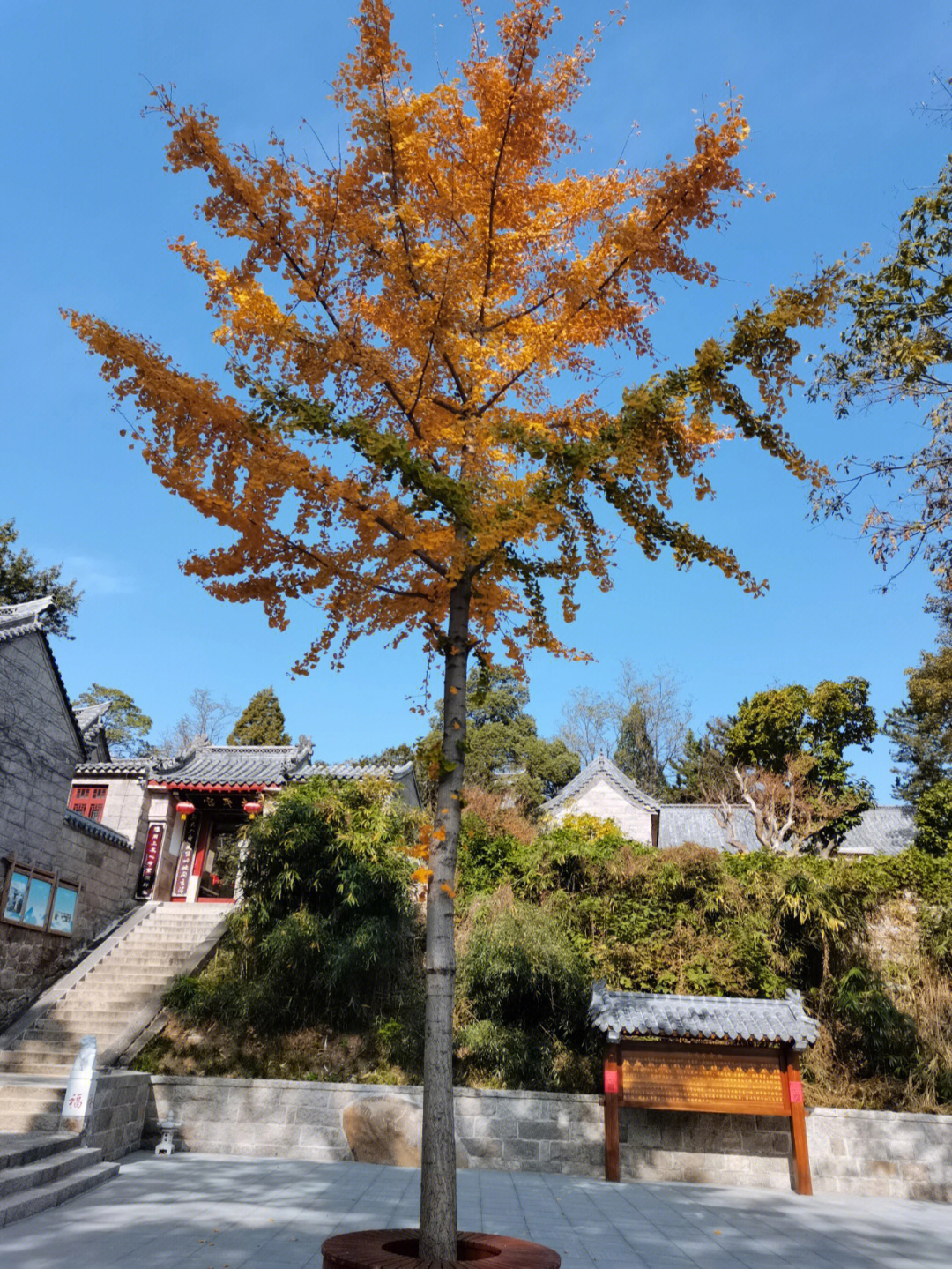 太平宫—狮子峰—绵羊石—犹龙洞—混元石—仙桃—寿字峰—觅天洞