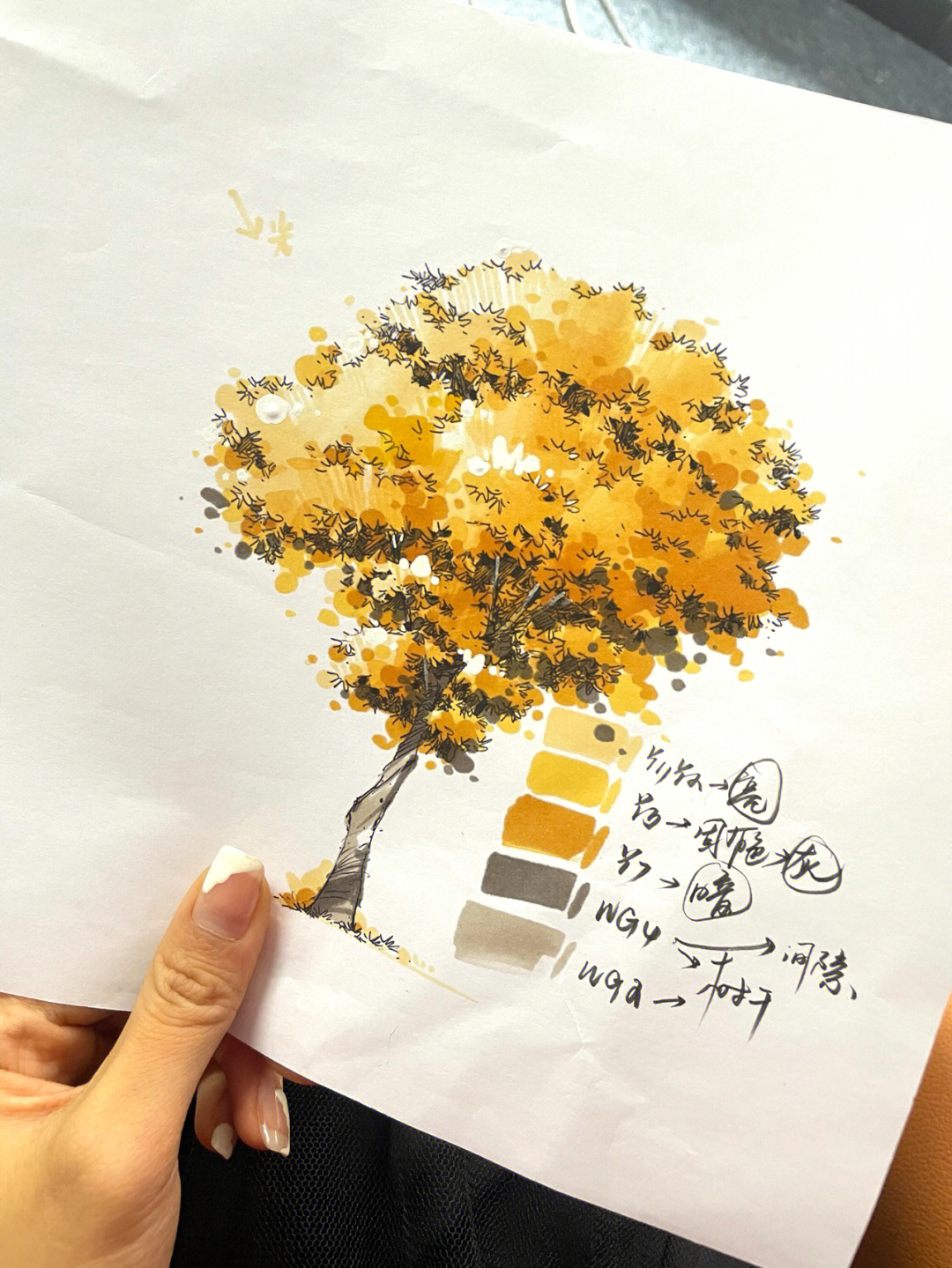 银杏树景观手绘图片