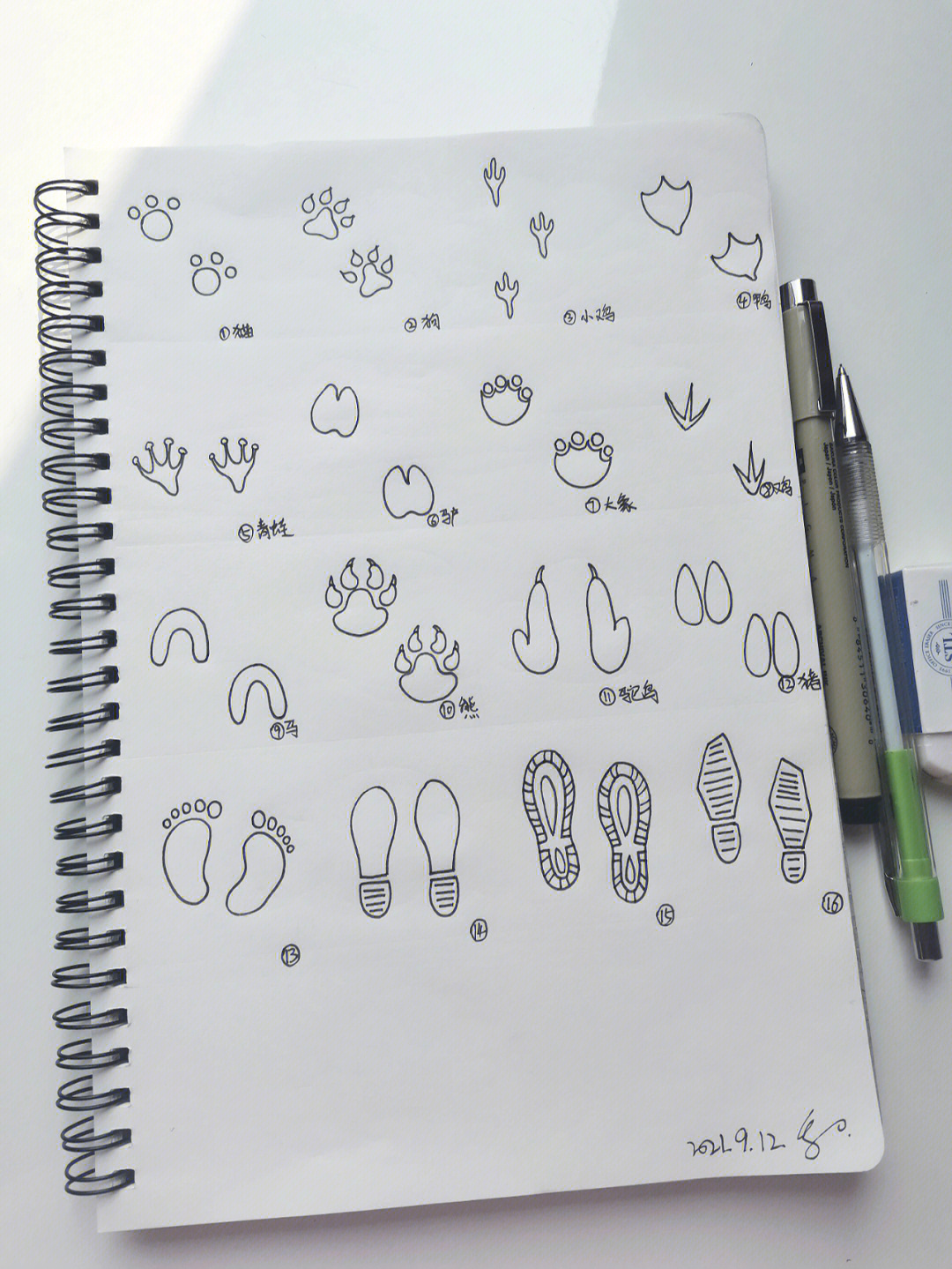 动物脚印简笔画手帐图片