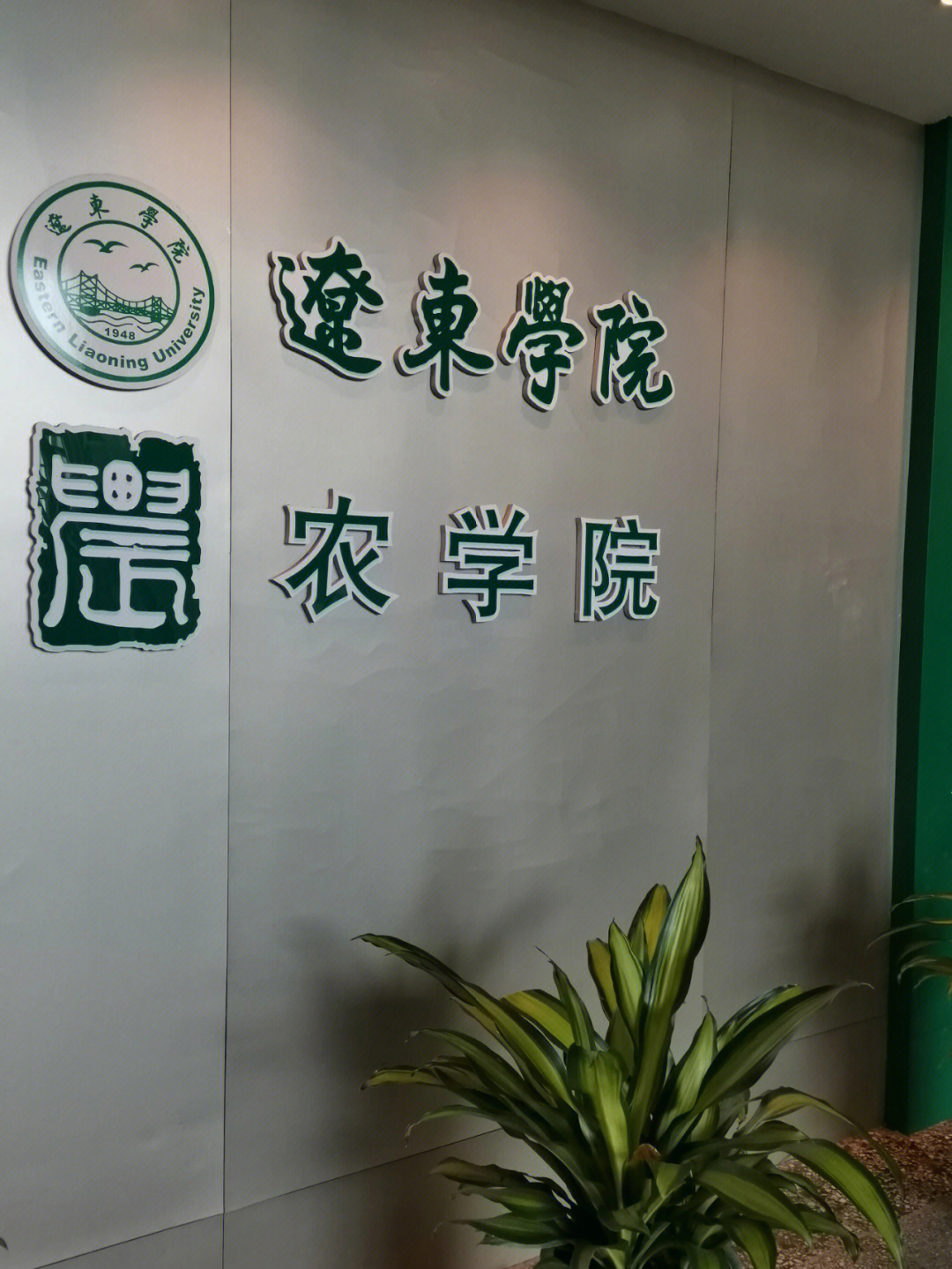 辽东学院校门图片