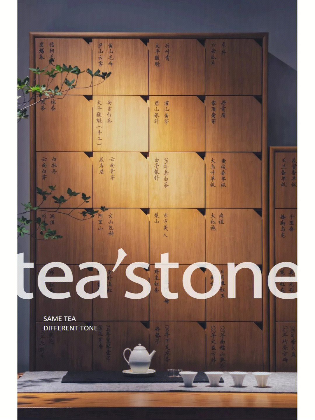 teastone创始人李姝图片