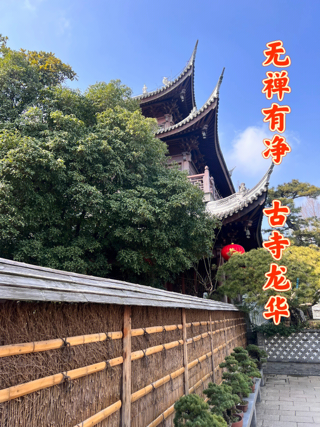 上海龙华寺门票图片