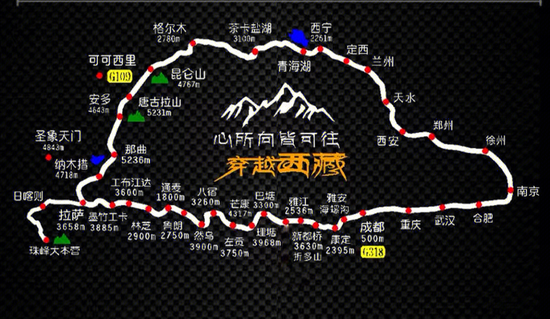 317公路线路图图片