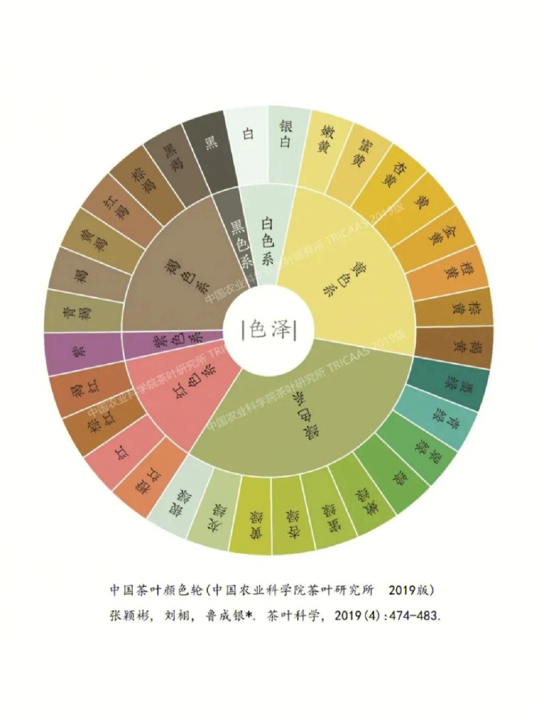 茶叶风味轮高清图图片