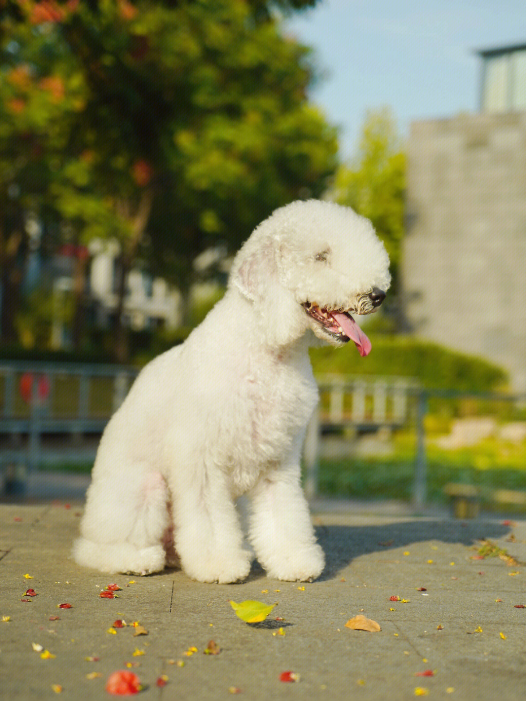 家里的妹妹实在太可爱了,无眼仔