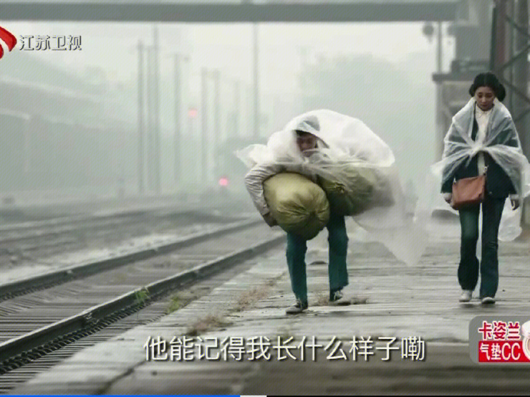 鸡毛飞上天表情包图片