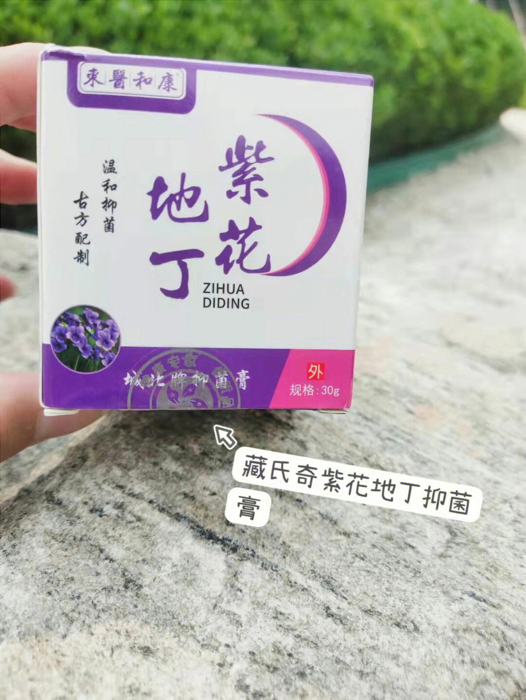 紫花地丁药膏厂家图片