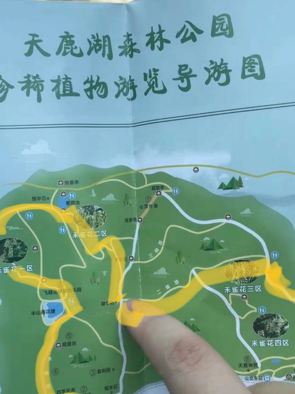 天鹿湖森林公园地图图片