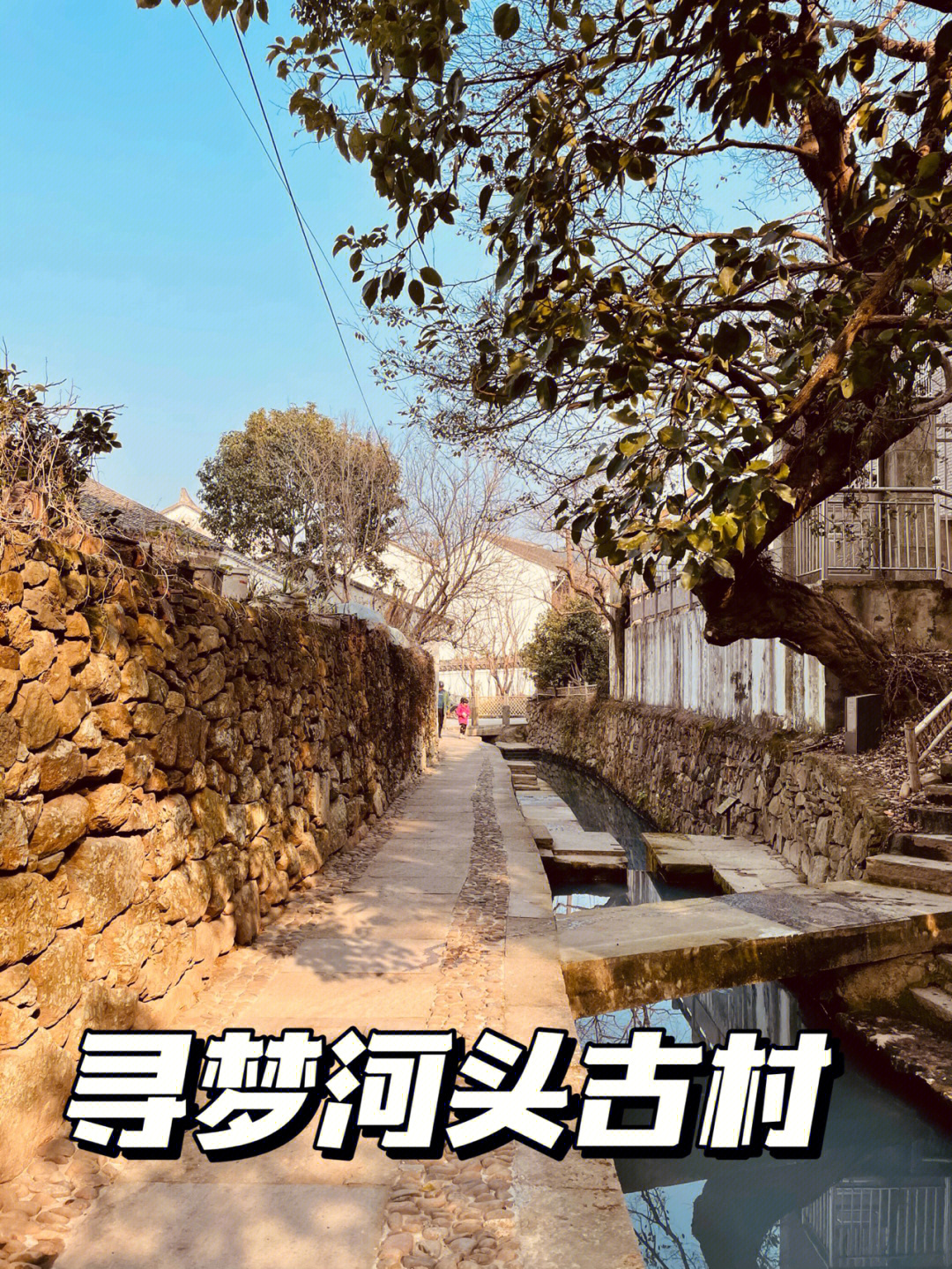 慈溪龙山方家河头村