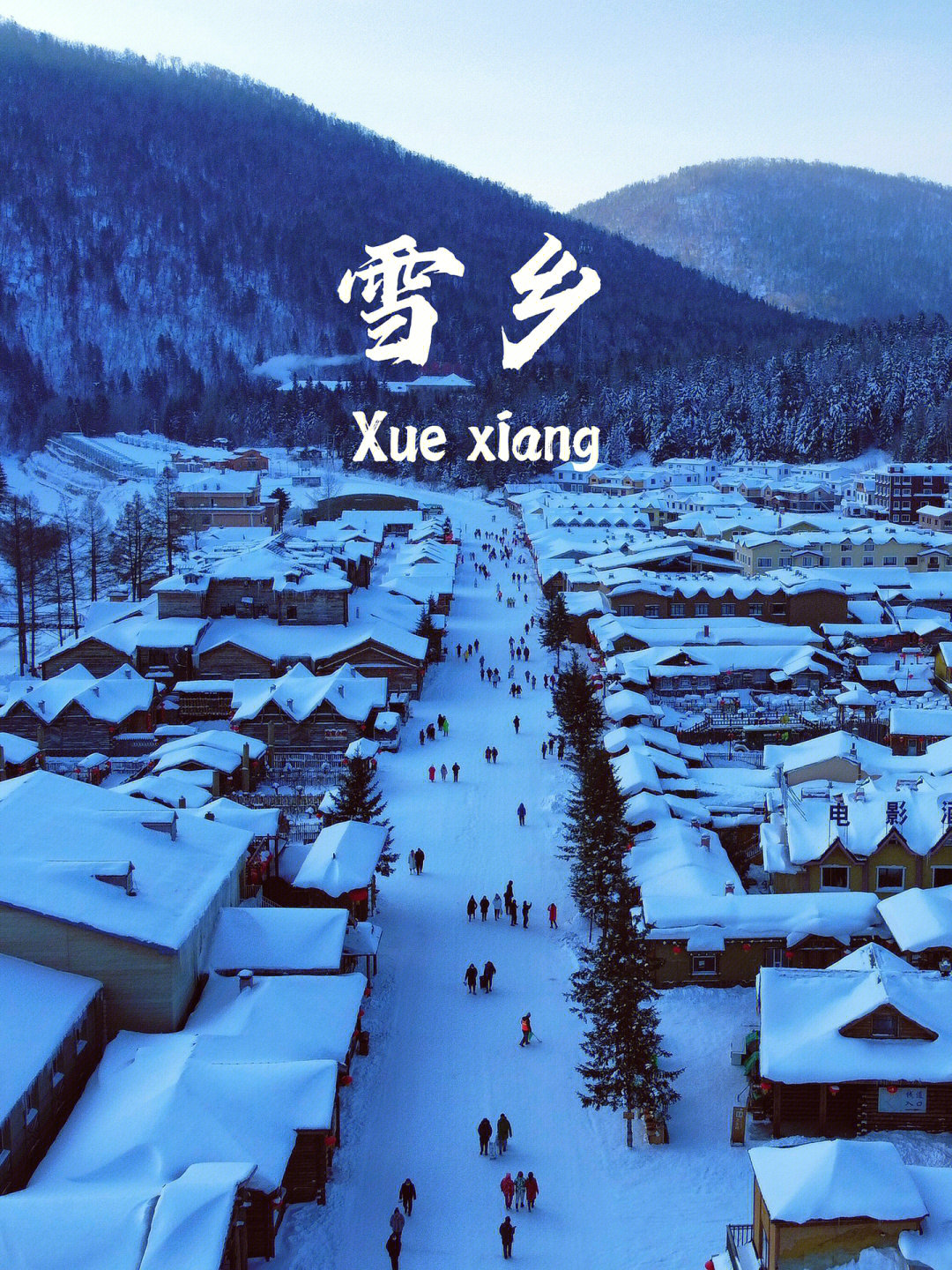 从哈尔滨出发,中央大街附近每年都有直达雪乡的旅游大巴,车程5小时