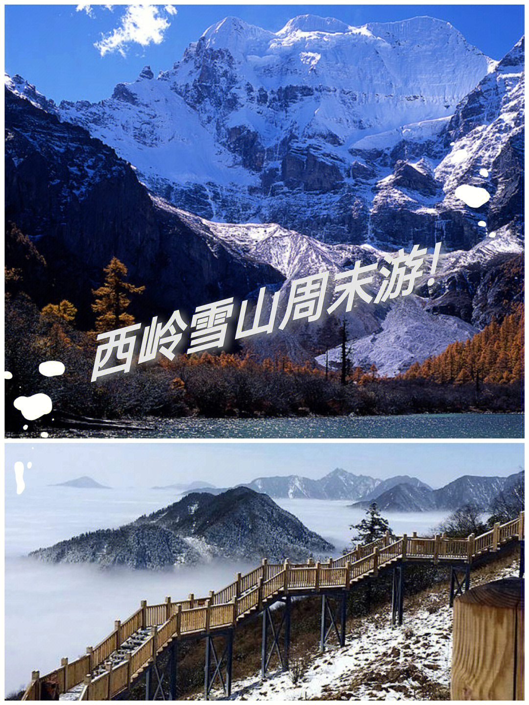 成都周末游|冬天去西岭雪山看雪呀!