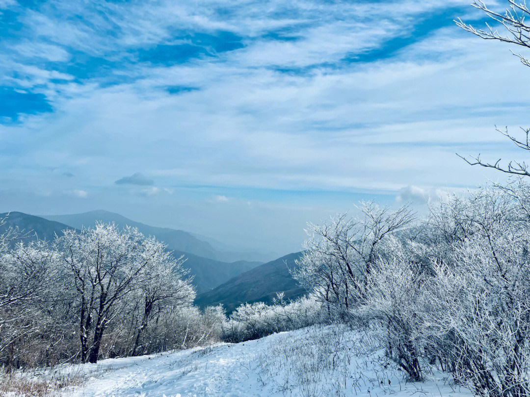 99的人都不知道杭州下雪啦