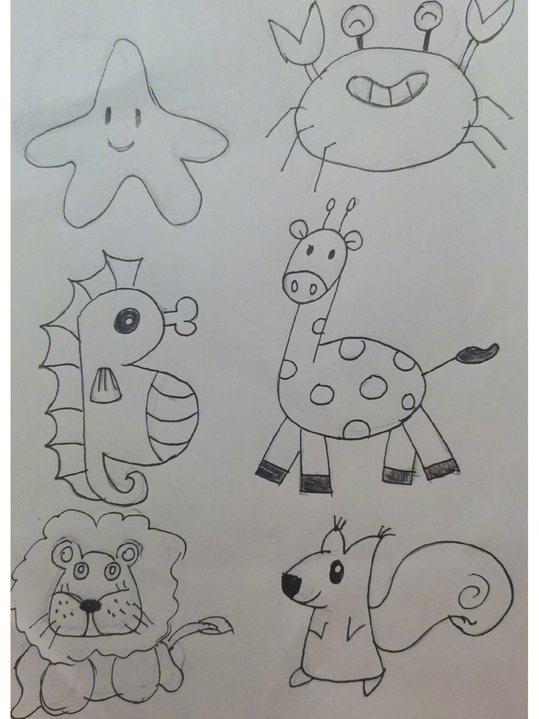 六年级简笔画动物图片